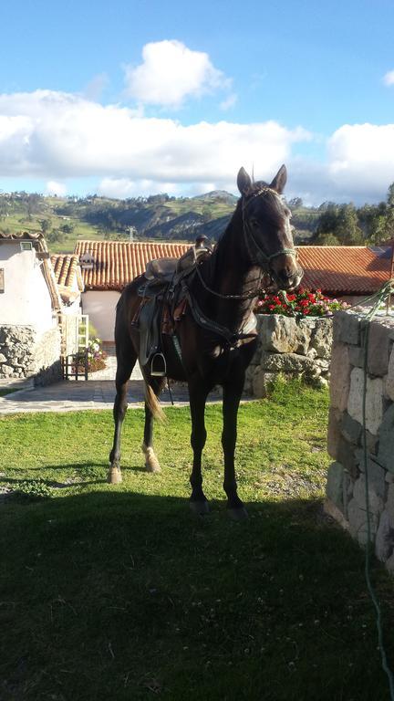 Hosteria La Condesa Honorato Vásquez Exteriér fotografie